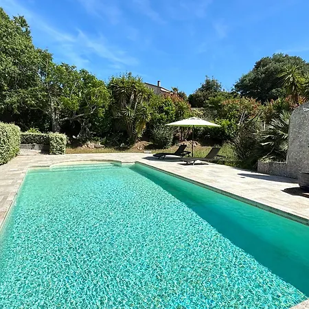 Avec Piscine Privee 别墅 *